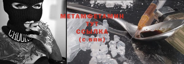 крисы Надым