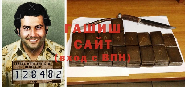 крисы Надым