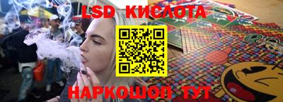 винт Донецк