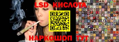 винт Донецк