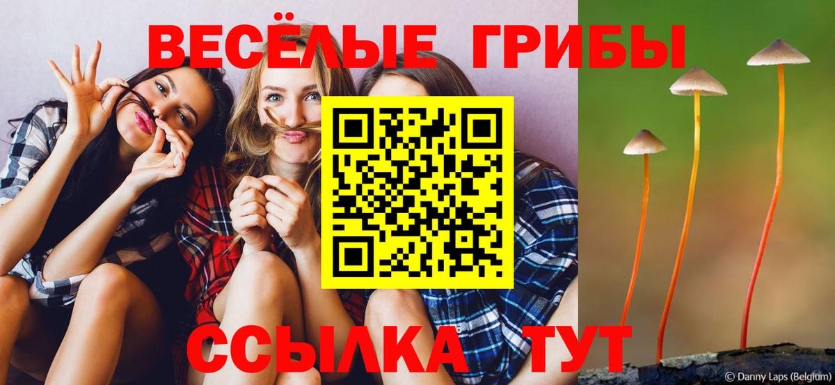 Псилоцибиновые грибы MAGIC MUSHROOMS  Вход с VPN  Усть-Лабинск 