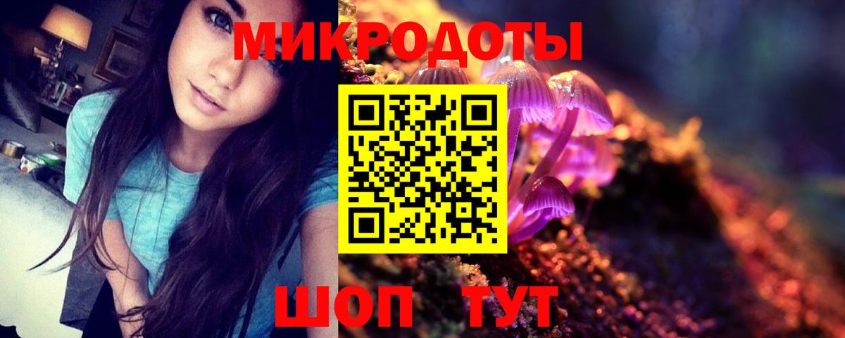 Псилоцибиновые грибы ЛСД  Усть-Лабинск  Псилоцибиновые грибы Psilocybe 